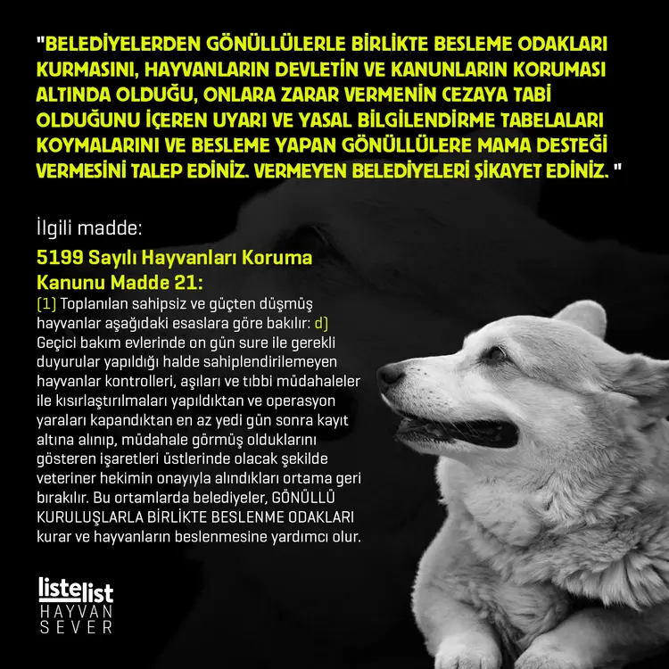 hayvan_haklari (7)