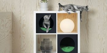 IKEA’nın Kedi ve Köpekler İçin Tasarladığı Mobilya Koleksiyonundan 13 Parça