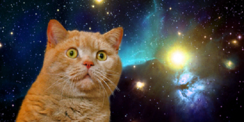 Kedilerden Burçların Kişiliklerini Yansıtan 12 Ponçik Cosplay Çalışması