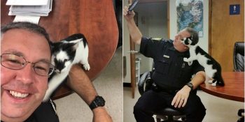 Ömürlük Yuvasını Bulmak İçin Polis Karakolunun Yolunu Tutan Akıllı Kedi