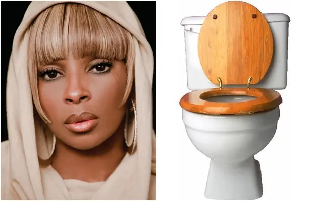 mary_j_blidge_toilet