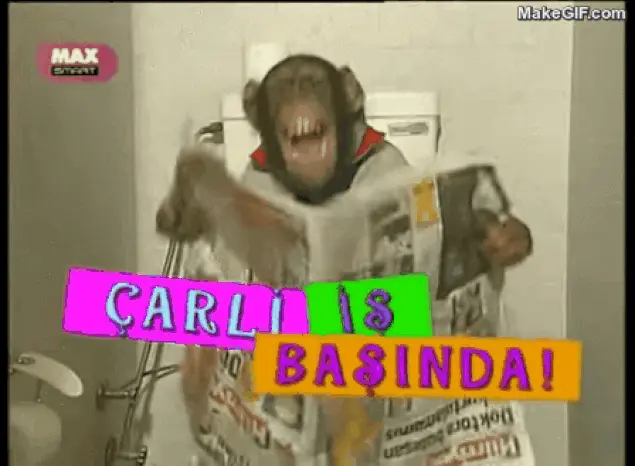 maymun_carli