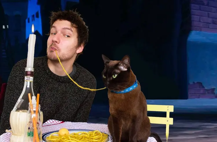 moviecats_test (13)