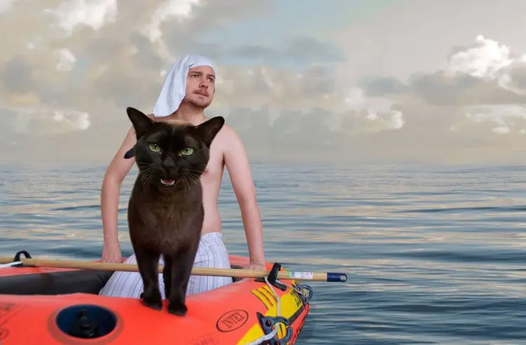 moviecats_test (2)