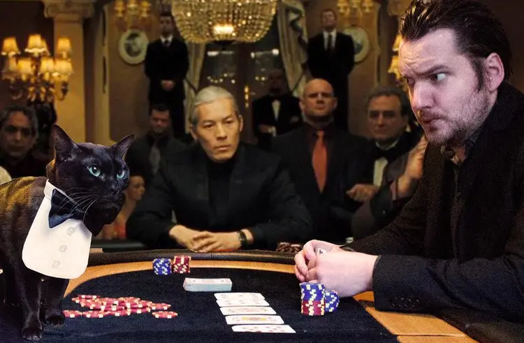 moviecats_test (4)