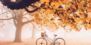 Dünyanın Farklı Yerlerinden 15 Büyüleyici Sonbahar Fotoğrafı