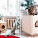 Farklı Kedi Tuvaleti Arayanlara 10 İlham Veren Öneri