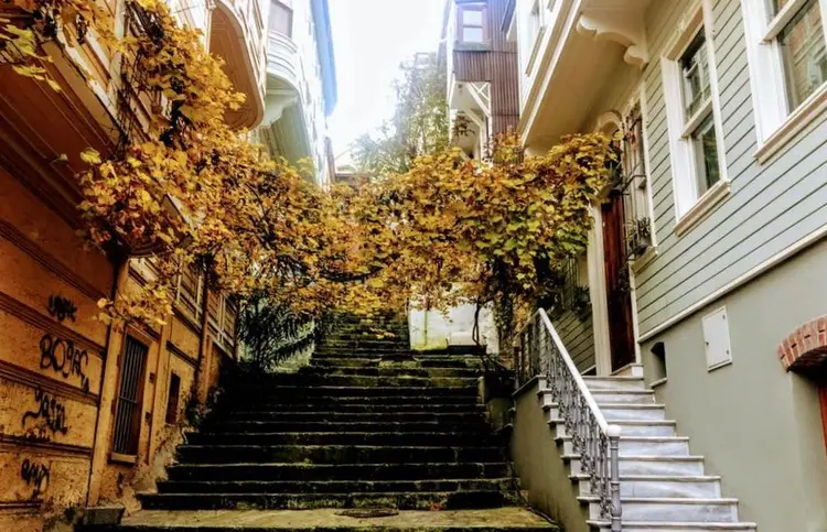 4. Arnavut yeniçeriler