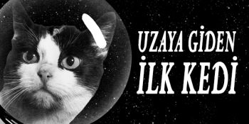 1983 Yılında Uzaya Giden İlk Kedi Olarak Tarihe Geçen Astrocat Felicette