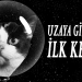 1983 Yılında Uzaya Giden İlk Kedi Olarak Tarihe Geçen Astrocat Felicette
