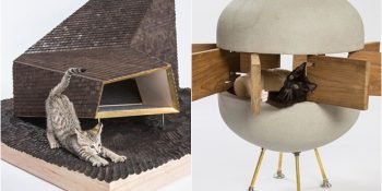 Evsiz Hayvanlara Fon Yaratmak İçin Üretilen 13 Maceraperest Kedi Mobilyaları