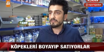 Ana Haber Bültenlerini Trolleyen Röportaj Adam’dan Sahte Olduğuna İnanmayacağınız 8 Video