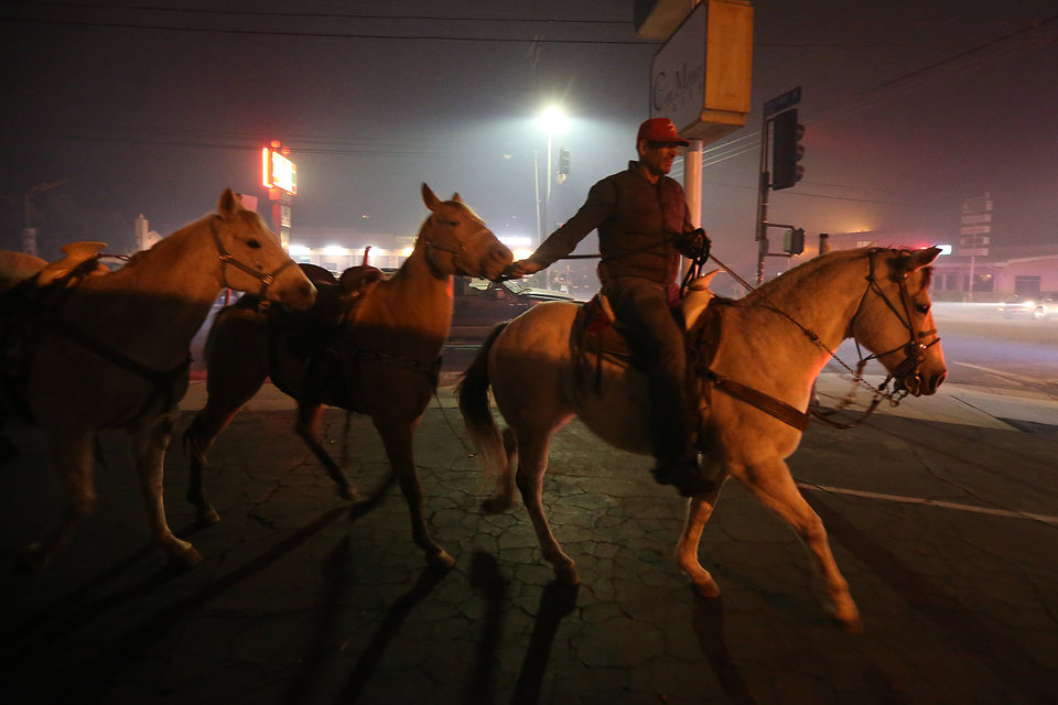 SHADOW HILLS, CA - DECEMBER 5: Horses are led from danger on Sunland Blvd. and Wheatland Ave. as the Creek Fire continues to threaten homes and ranches on December 5, 2017 in Shadow Hills, California. (Photo by Robert Gauthier/Los Angeles Times via Getty Images)