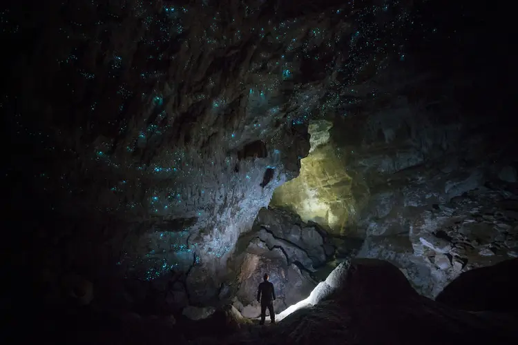 Hollow-Hill-Cave-Glowworms-SJP-15-5a332a8e160a3__880