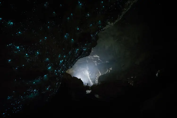 Hollow-Hill-Cave-Glowworms-SJP-4-5a332a8a97e42__880
