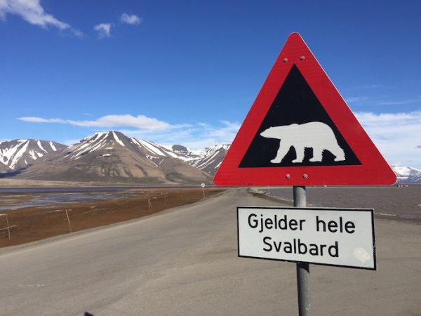 Longyearbyen-Polar-Bear-Sign