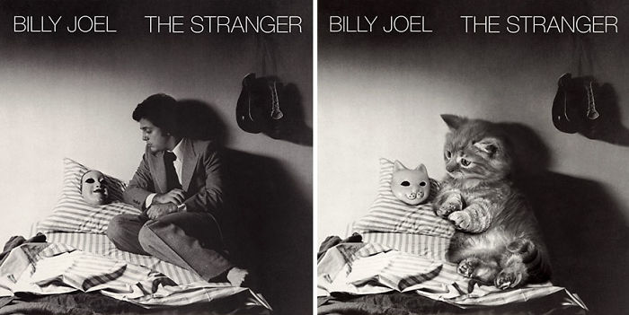 This-guy-created-very-cute-covers-of-the-music-world-replacing-singers-with-cats-5a2e4c0265d9d__700