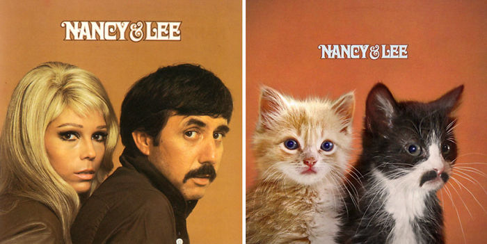 This-guy-created-very-cute-covers-of-the-music-world-replacing-singers-with-cats-5a2e54e2d9873__700