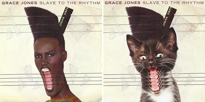 This-guy-created-very-cute-covers-of-the-music-world-replacing-singers-with-cats-5a2e627c0c99a__700