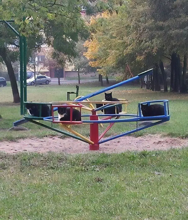 an-1