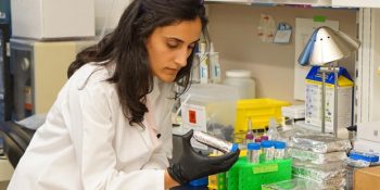 Harvard Genç Akademi Üyeliğine En Yüksek Oyla Seçilen İlk Türk Bilim İnsanı Canan Dağdeviren