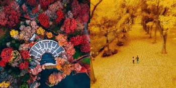 New York’a Farklı Bir Açıdan Bakmak İsteyen Fotoğrafçı Humza Deas’dan 15 Etkileyici Görüntü