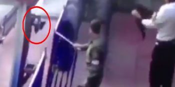 Erzincan Orduevi’nde Kediye Yapılan Akılalmaz İşkence Türkiye Gündeminde