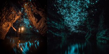 Yeni Zelanda’da Mağaraları Yıldızlı Muhteşem Bir Geceye Dönüştüren Ateş Böcekleri