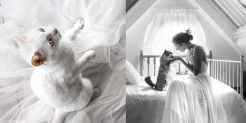 Çiftlerin Düğün Fotoğraflarını Kedileriyle Çeken Fotoğrafçı ve 15 Sevgi Dolu Fotoğraf