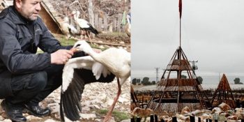 Kanserden Kaybettiklerinden Etkilenerek Kendini Doğaya Adamış Veterinerin Anlamlı Projesi