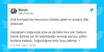 Kedi-Köpeğin Kısırlaştırılması Hakkında Tartışmalara Yol Açan Kullanıcıdan 16 Faydalı Bilgi