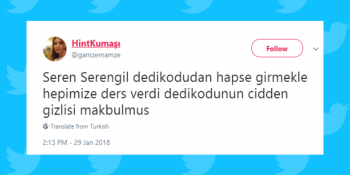 Gıybetten Hapis Yatacak İlk Kişi Olarak Tarihe Geçecek Seren Serengil Hakkında Atılmış 16 Tweet