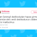 Gıybetten Hapis Yatacak İlk Kişi Olarak Tarihe Geçecek Seren Serengil Hakkında Atılmış 16 Tweet