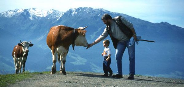 Rick-Steves-Gimmelwald-Cow-Culture-631