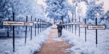 Çernobil’in Yasak Bölgesinden Doğal Yaşamın Devam Ettiğini Gösteren Kızılötesi Fotoğraflar