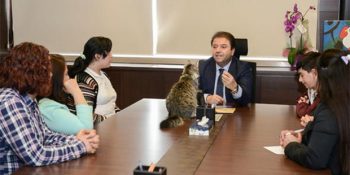 Tüylerini Makam Masalarına Dökenlerin Krallığı: Kedili Belediyeler