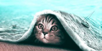 Hayvanlara Photoshop İle Fantastik Bir Hava Katan Sanatçıdan 25 Büyülü Çalışma