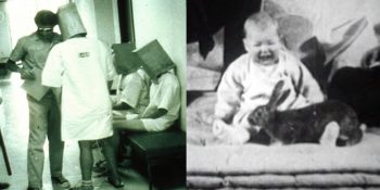 Tarihte Yapılmış En Etkileyici 12 Psikolojik Deney