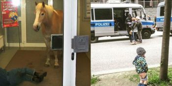 Anlamsızlıkta Sınırları Bir Hayli Zorlayan 20 Kafa Yakan Görsel