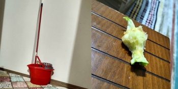 Gönülleri Fetheden Necla Canal’ın Instagram’ı Nasıl Kullanmamız Gerektiğini Gösteren 19 Paylaşımı