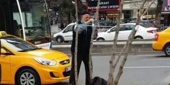 Belediyenin Bantladığı Ağacın Yaralarını Mendille Silen Kalbi Güzel Amca