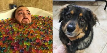 Ev Arkadaşlarıyla Yaşadıklarını Anlatan 16 Kişiden Tuhaf ve Eğlenceli Anılar