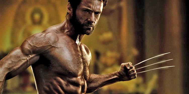 Kahramanın Sonsuz Yolculuğu Wolverine