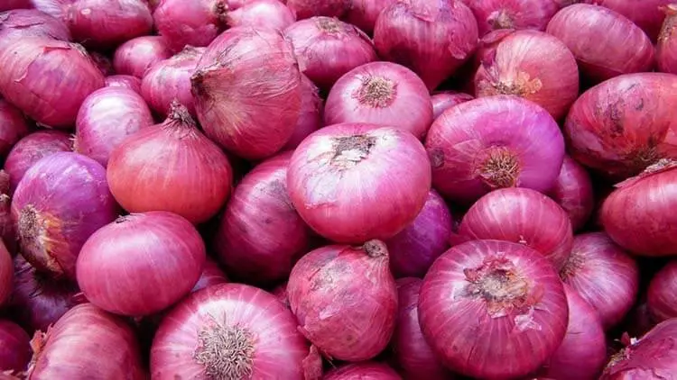 Soğan