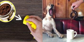 İçmek Dışında Kahveyle Yapabileceğiniz 13 Faydalı Şey