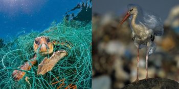 National Geographic’in Plastik Atıklara Dikkat Çeken Yeni Sayısından Dehşete Düşüren 21 Fotoğraf