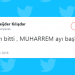 Adaylığı Açıklanan Muharrem İnce Hakkında Atılmış 18 Coşkulu Tweet