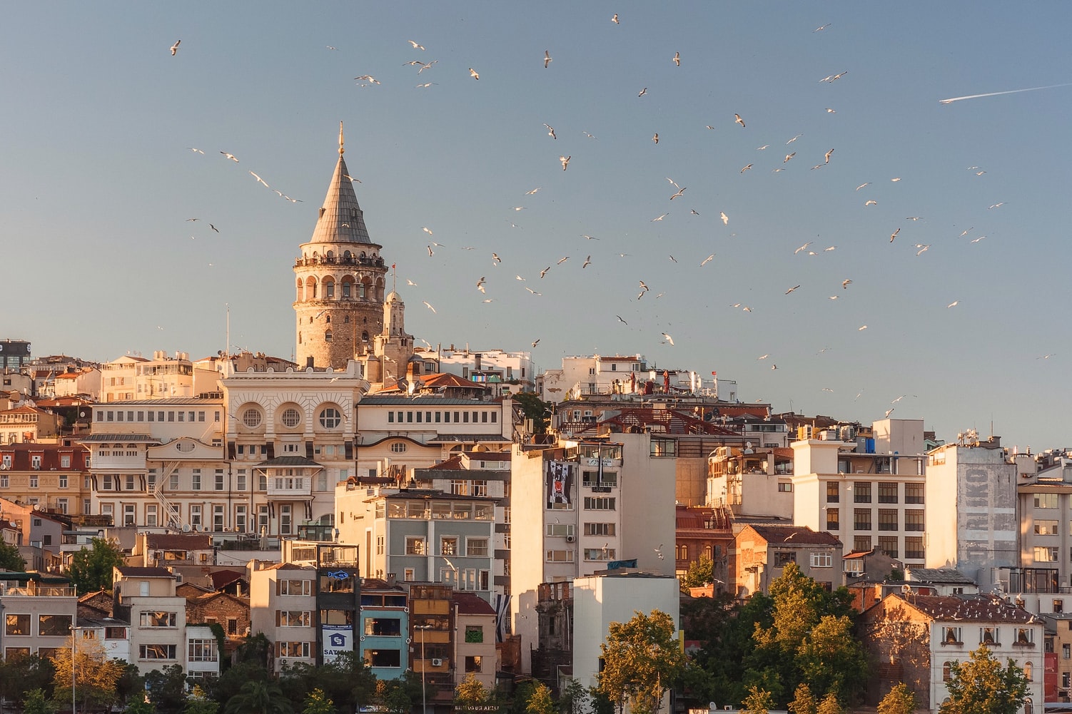 pasaportları