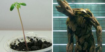 Marvel’in Yenilmezler’inin Gençlik Yıllarını Gösteren 19 Fotoğraf