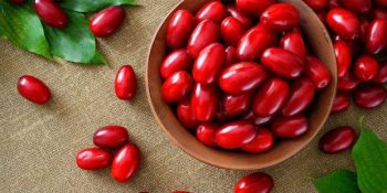 Suyundan Kurusuna; Şifa Deposu Kızılcık Hakkında Bilmeniz Gereken 20 Şey